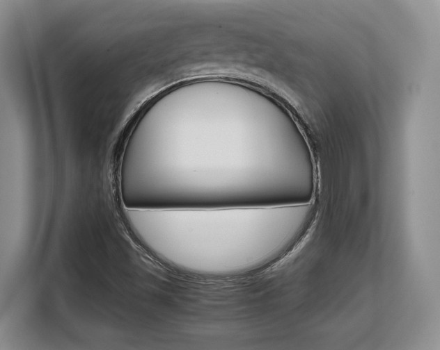 X0000108481501200904031109