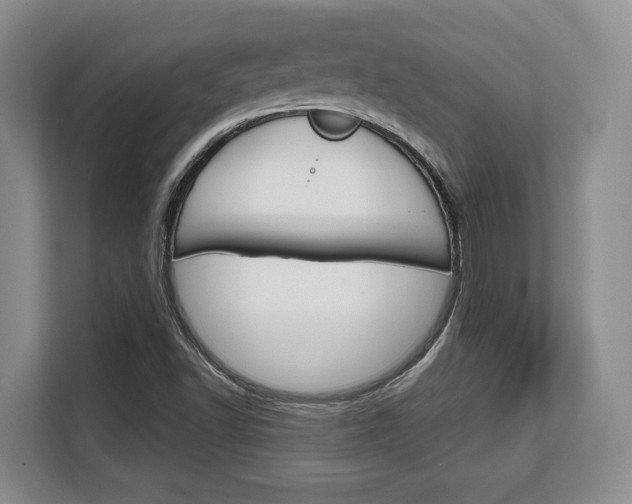 X0000108481502200904031109