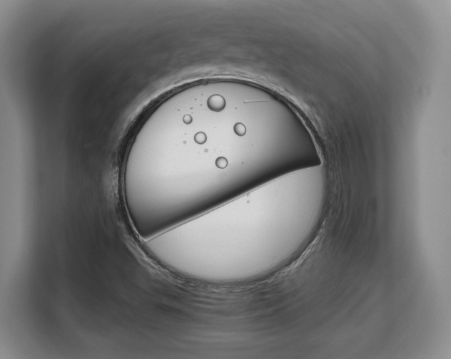 X0000108481503200904031109
