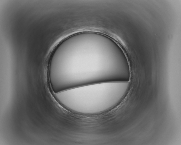 X0000108481504200904031109