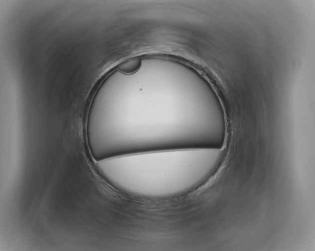 X0000108481505200904031109