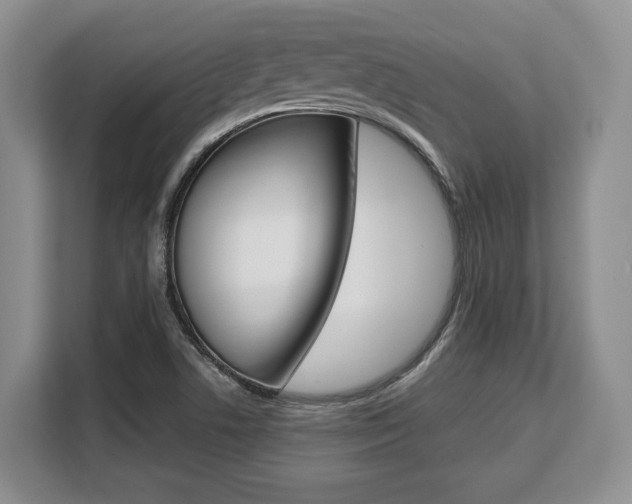 X0000108481506200904031109