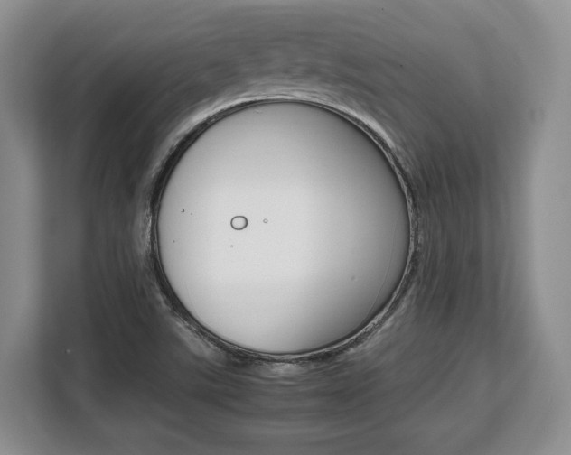 X0000108481507200904031109