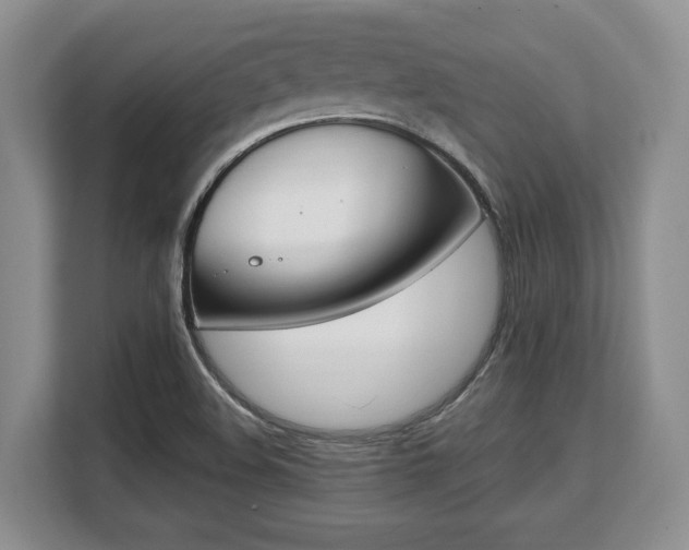 X0000108481508200904031109