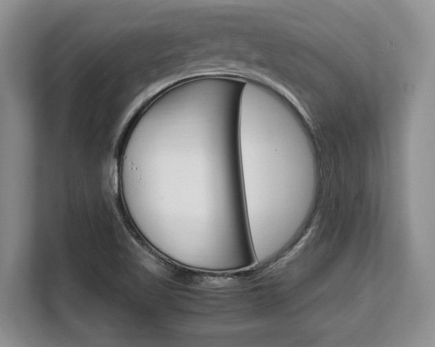 X0000108481509200904031109