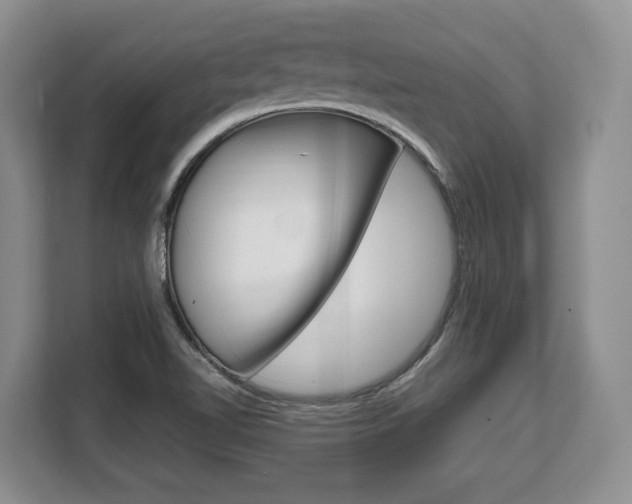 X0000108481510200904031109