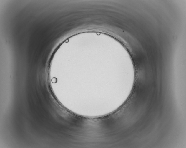 X0000108481514200904031109