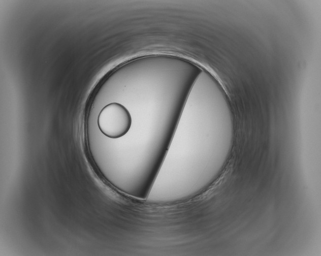 X0000108481515200904031109
