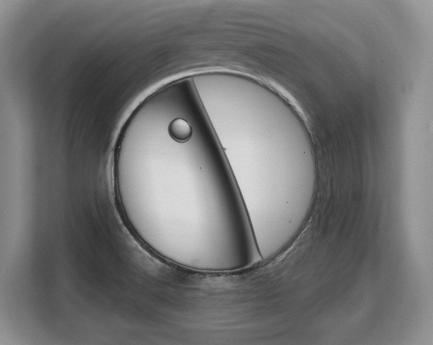 X0000108481516200904031109