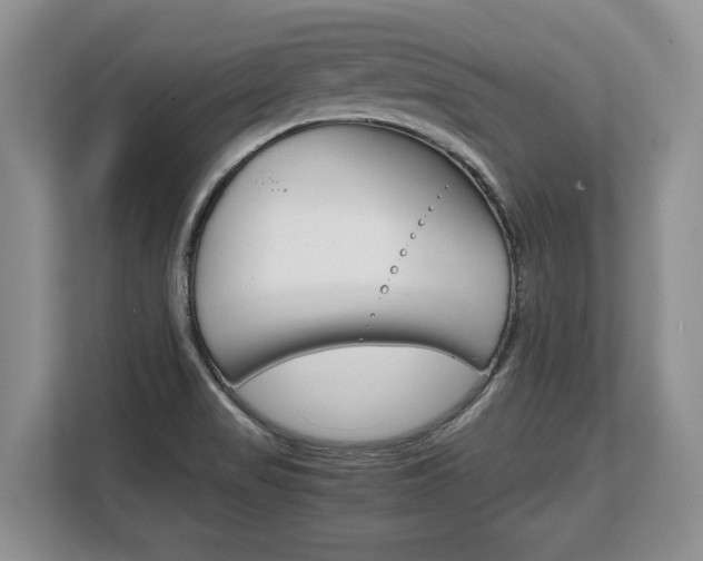 X0000108481517200904031109