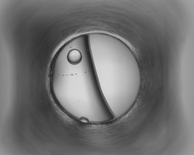 X0000108481518200904031109