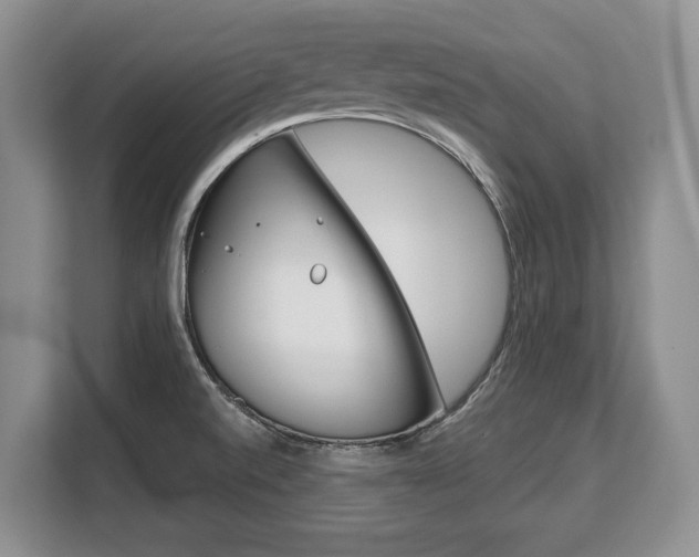 X0000108481520200904031109