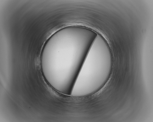 X0000108481521200904031109