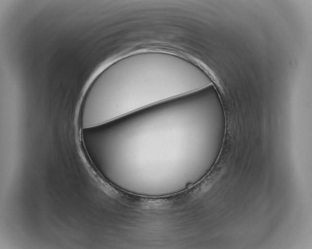 X0000108481522200904031109