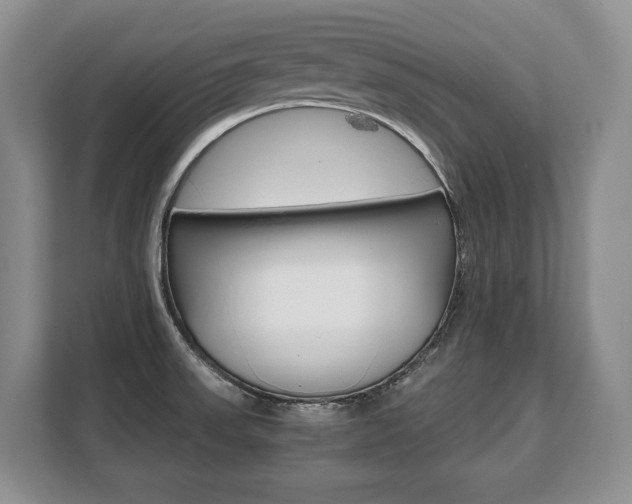 X0000108481523200904031109