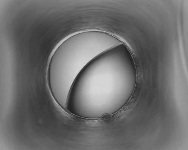 X0000108481524200904031109