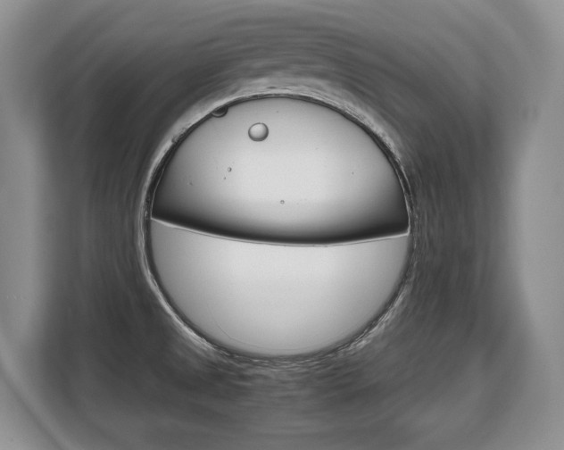 X0000108481525200904031109