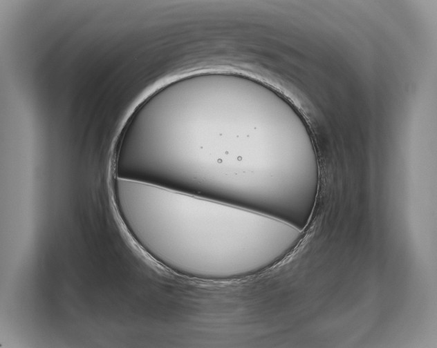 X0000108481526200904031109
