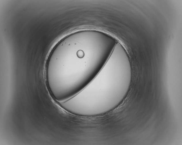 X0000108481527200904031109