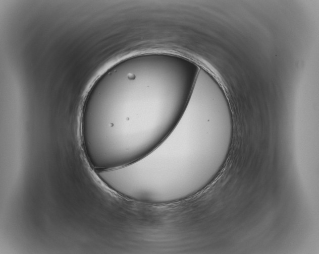 X0000108481528200904031109