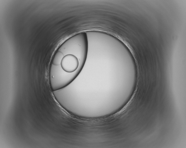 X0000108481529200904031109