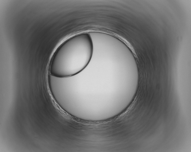 X0000108481530200904031109