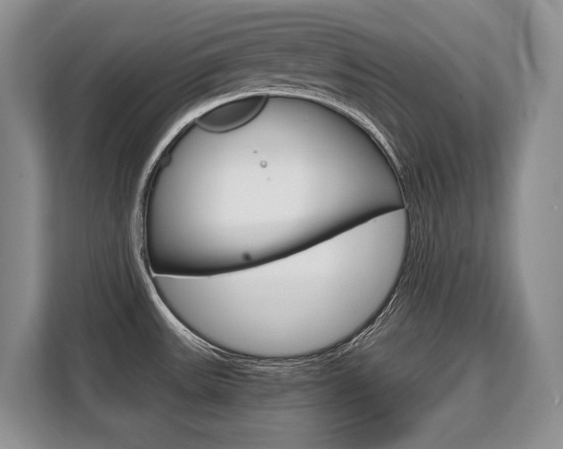 X0000108481531200904031109