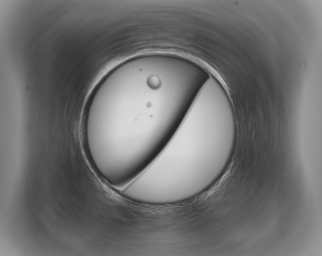 X0000108481533200904031109