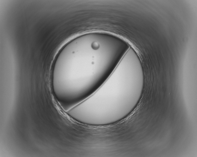 X0000108481534200904031109