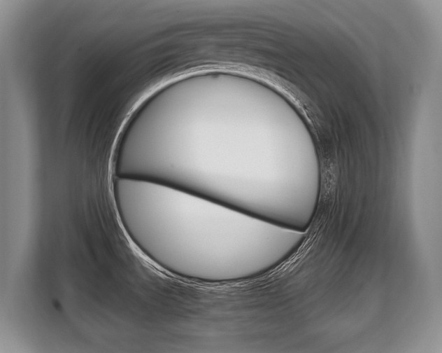 X0000108481535200904031109