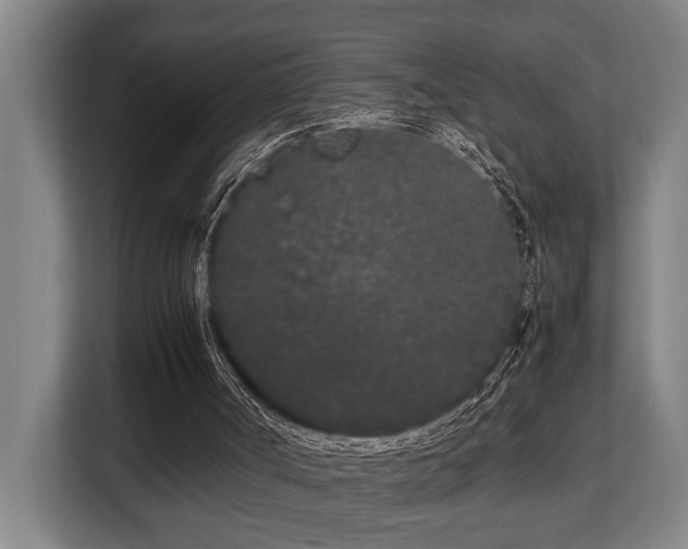 X0000108480002200904031439