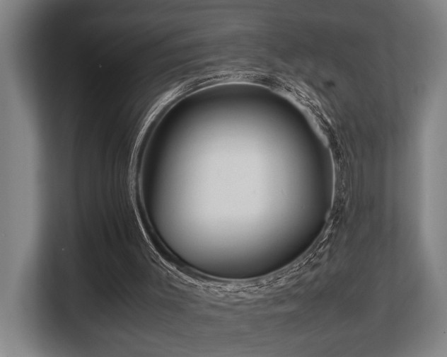X0000108480003200904031439