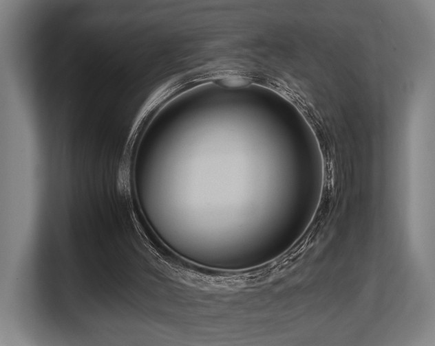 X0000108480004200904031439