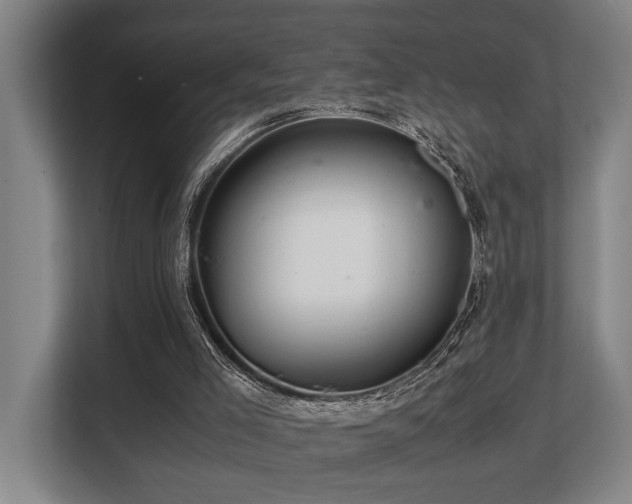 X0000108480005200904031439