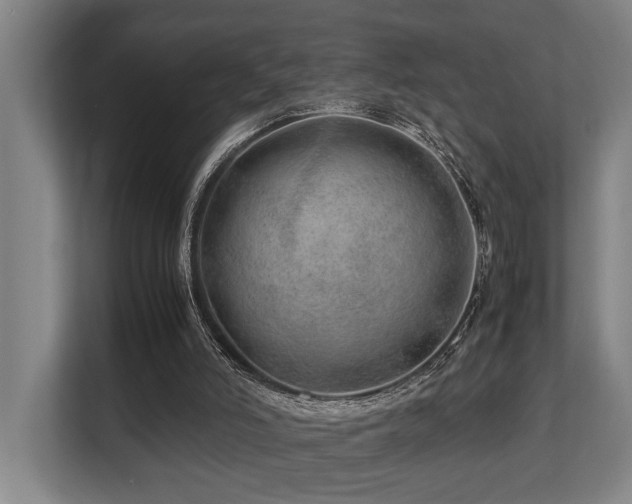 X0000108480006200904031439