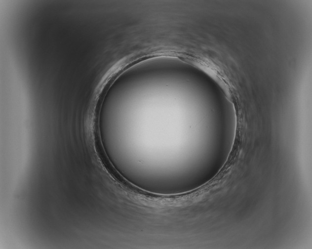 X0000108480007200904031439