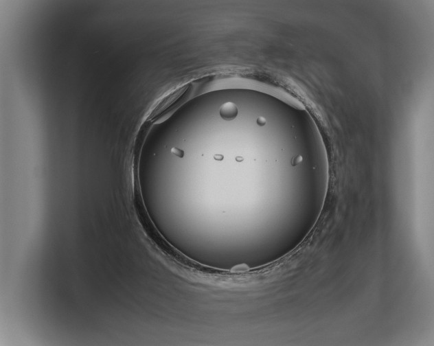 X0000108480011200904031439