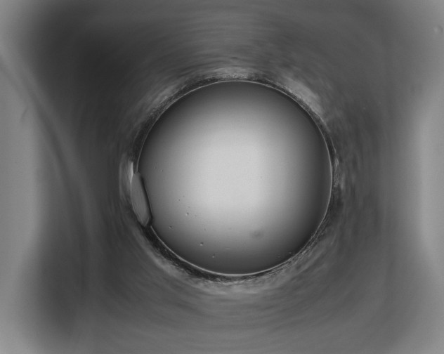 X0000108480013200904031439