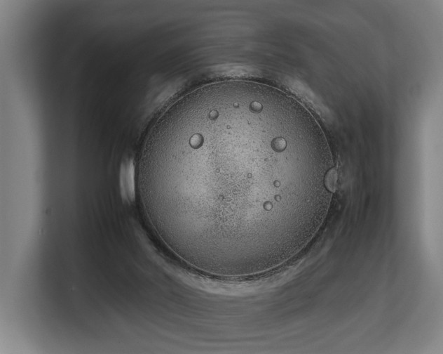 X0000108480014200904031439