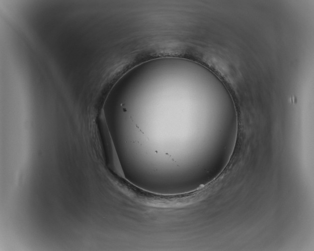 X0000108480017200904031439