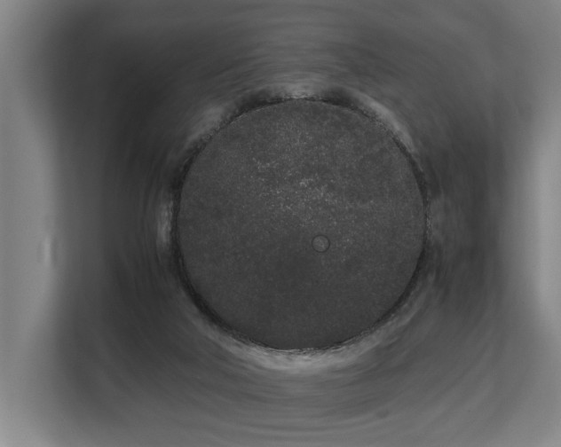 X0000108480018200904031439