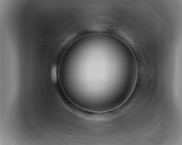 X0000108480020200904031439