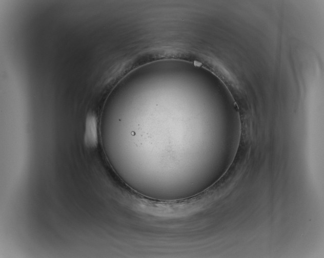 X0000108480022200904031439