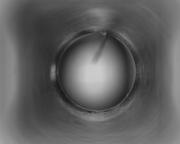 X0000108480024200904031439