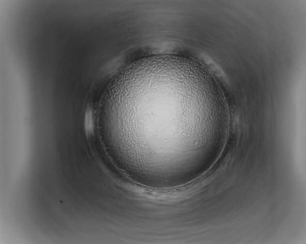 X0000108480026200904031439