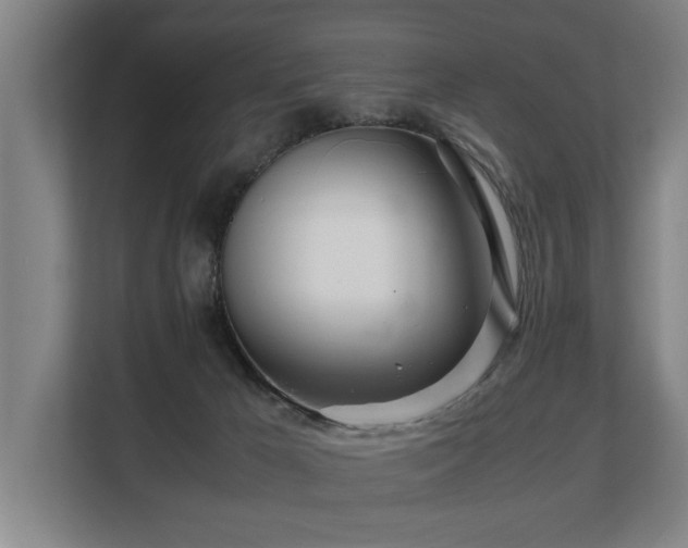 X0000108480029200904031439