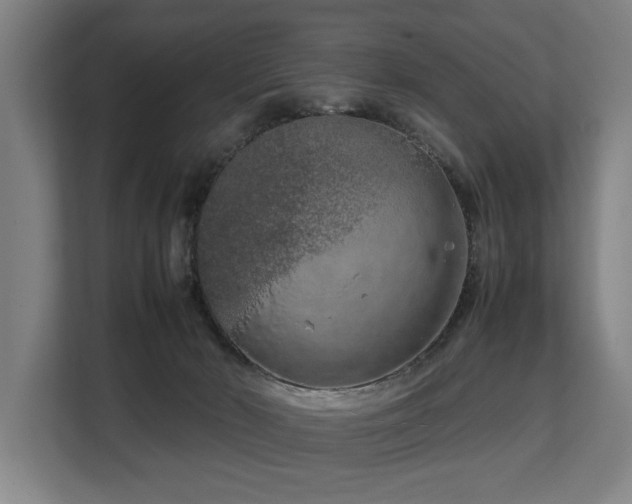 X0000108480030200904031438