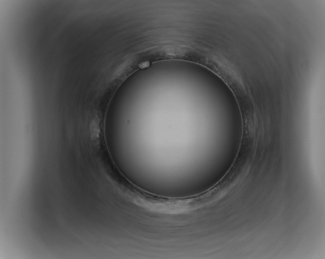 X0000108480032200904031438