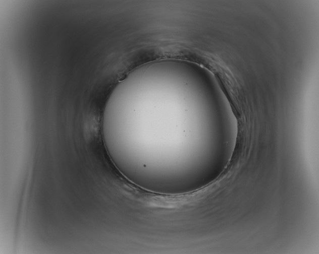 X0000108480033200904031438