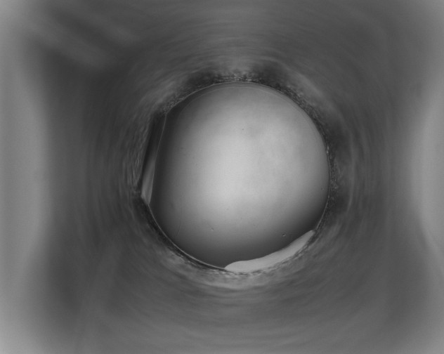 X0000108480037200904031438
